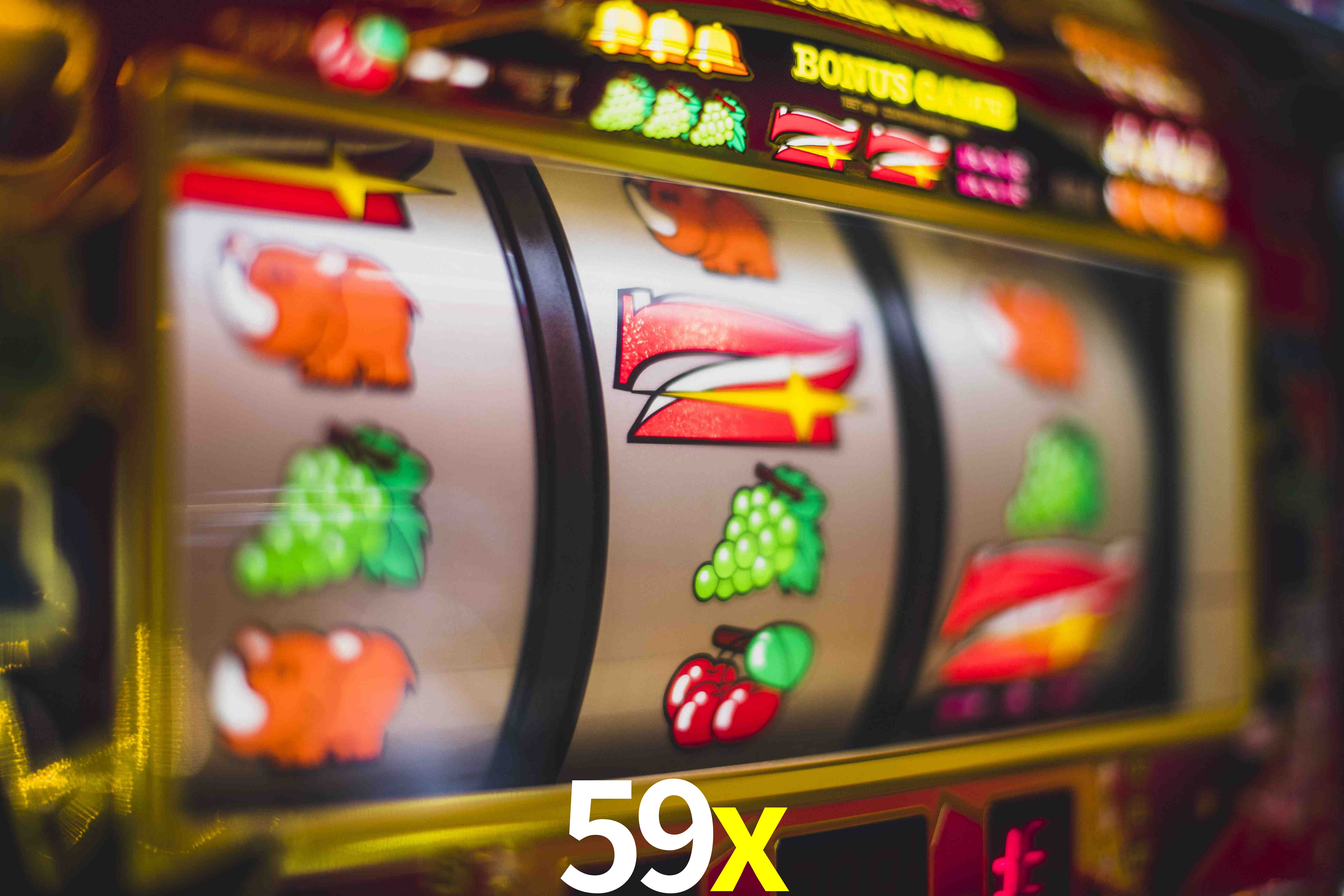 Experiência VIP 59x